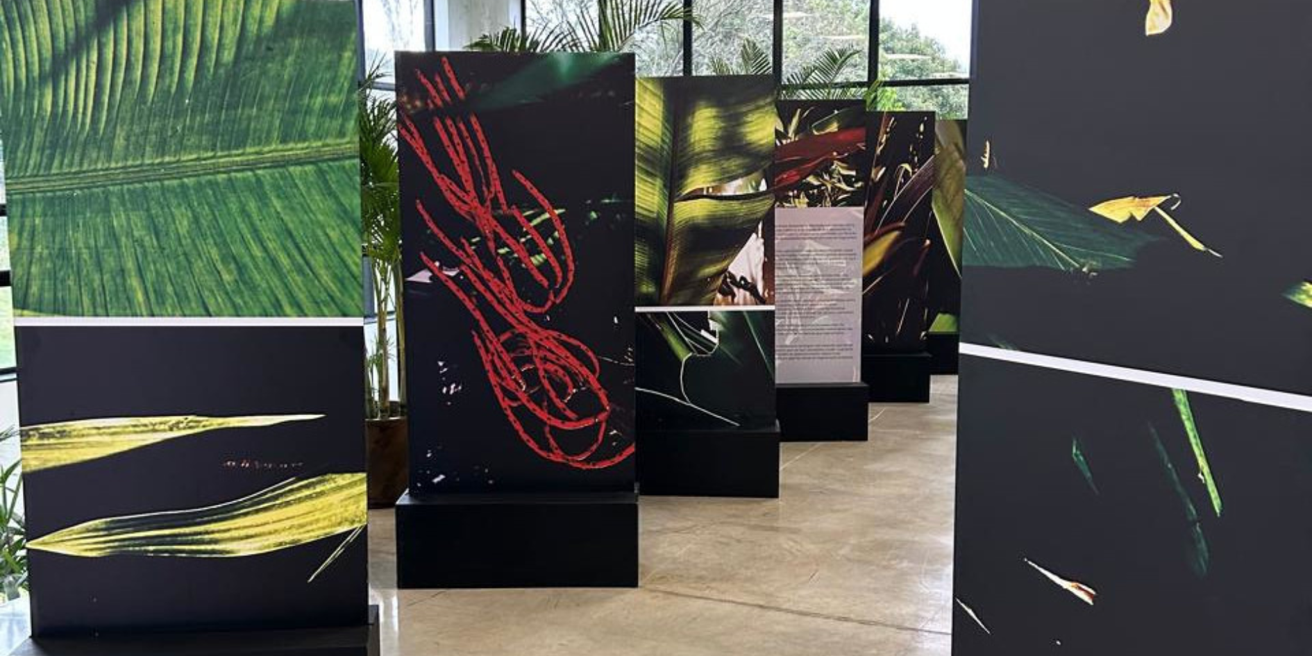 Exposição “Noites da Floresta” segue em cartaz no Ecomuseu de Itaipu até segunda-feira