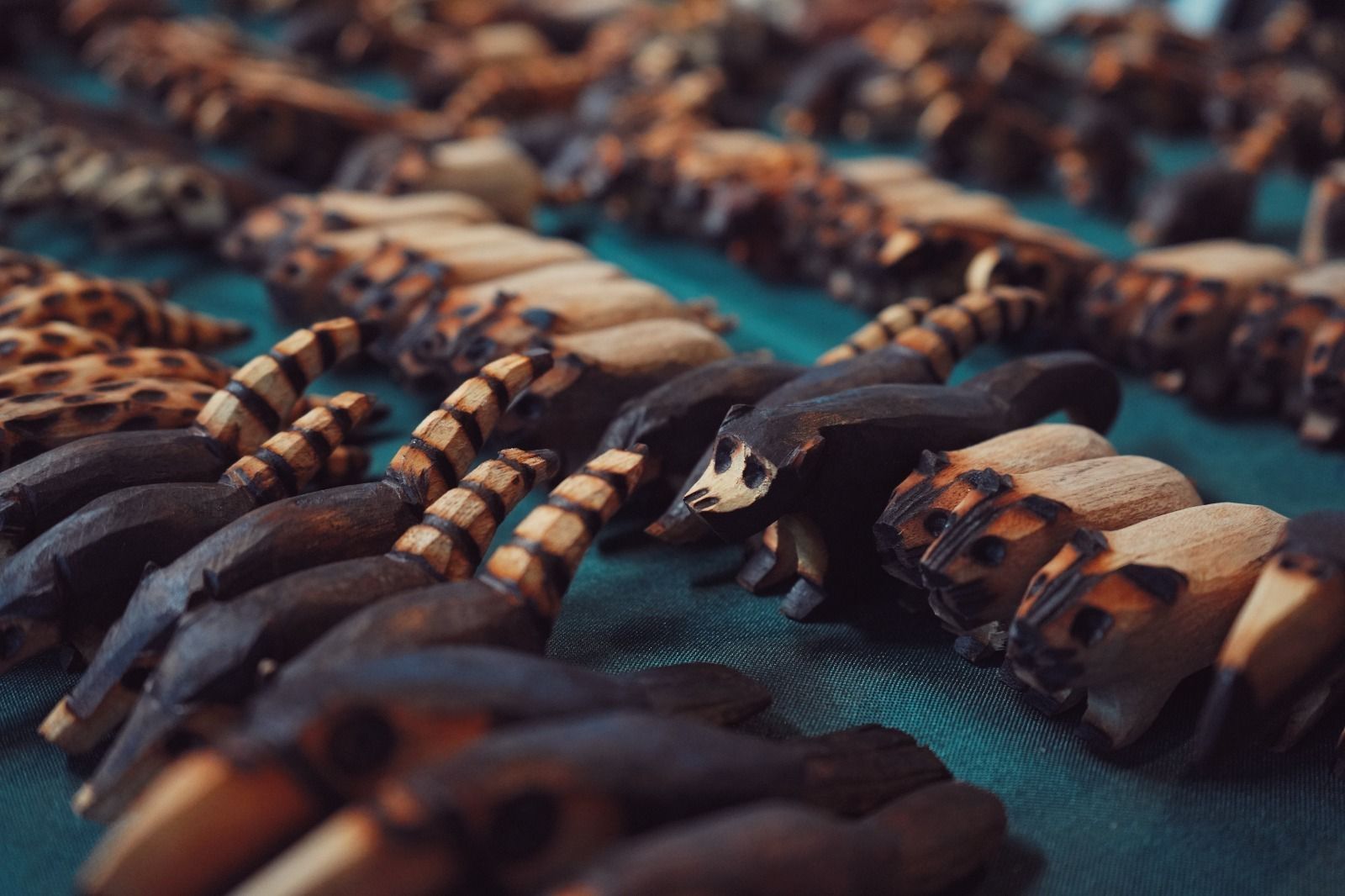 Miniatura da galeria 3