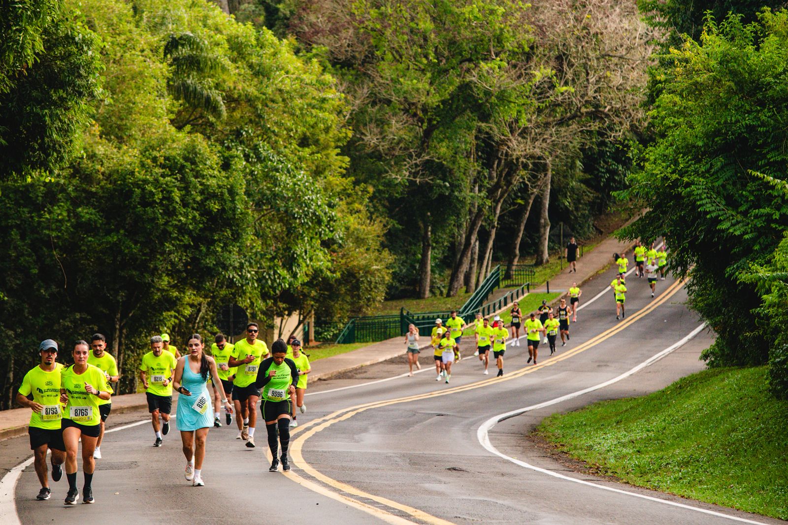 Meia Maratona das Cataratas une esporte e natureza em percurso único na Mata Atlântica
