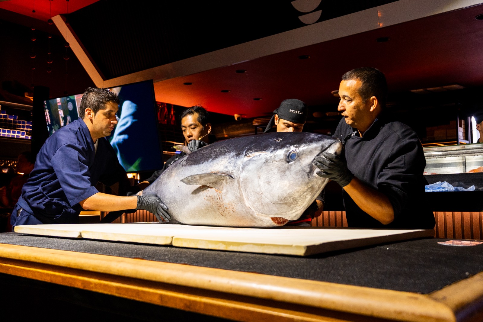 Operação internacional traz atum gigante da Europa para cerimônia japonesa em Foz do Iguaçu